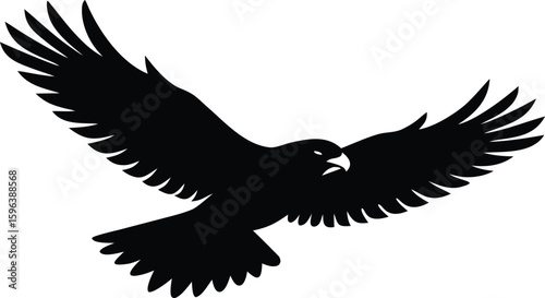 hawk flying vector illustration for bold nature design