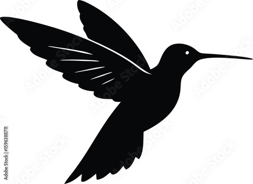 minimal hovering hummingbird vector design collection