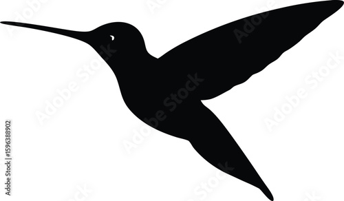 graceful hummingbird silhouette in mid air