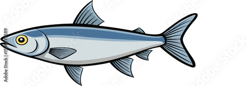 Fish isolated on white background