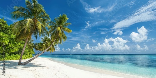 Fototapeta Naklejka Na Ścianę i Meble -  Coconut palms leaning over white sand beach in Maldives
