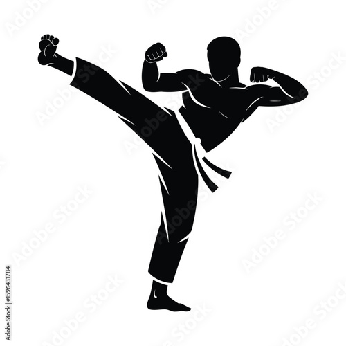 Martial arts fighter performing a high kick silhouette isolated on white background