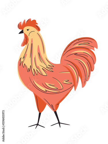Set of colourful rooster isolated on white. Hand drawn poultry. Vector cock illustration. Bright, organic design for local farm, urban homesteading, fresh food, and countryside life