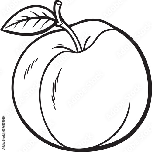 Outline drawing of a peach with a leaf attached to the stem shown in a simple graphic style art
