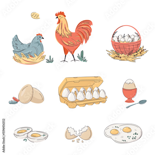 Set of colourful laying hen and roaster; eggs, basket, cardboard; eggshell; fried, boiled and scrambled eggs . Bright, organic design for protein breakfast,  local farm, urban homesteading, fresh food