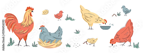 Set of colourful hens, roosters and chikens isolated on white. Hand drawn poultry. Vector backyard chickens illustration. Bright design for local farm, urban homesteading, fresh food, countryside life