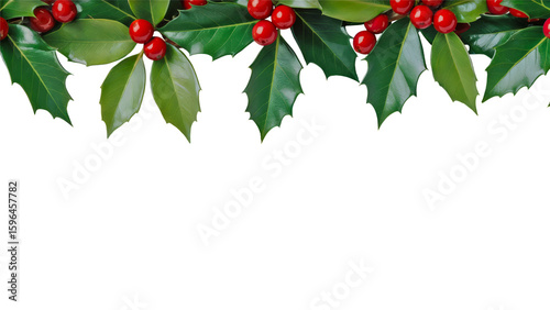 Top border of realistic holly leaves and red berries on transparent background for Christmas decoration, festive banner design, or winter holiday template