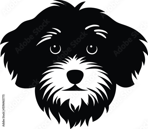 Havanese dog head silhouette with fluffy fur, round eyes, and soft muzzle for iconic toy breed