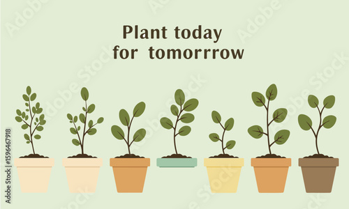 Flat illustration of growing plants in pastel pots, suitable for sustainability posts, nature education, and eco ads