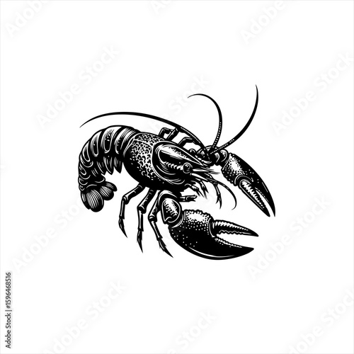 Detailed Black and White Illustration of a Lobster.