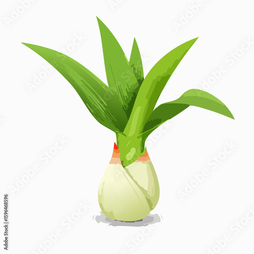 A vibrant illustration of a fresh green onion bulb with long green leaves sprouting upwards against a clean white background.