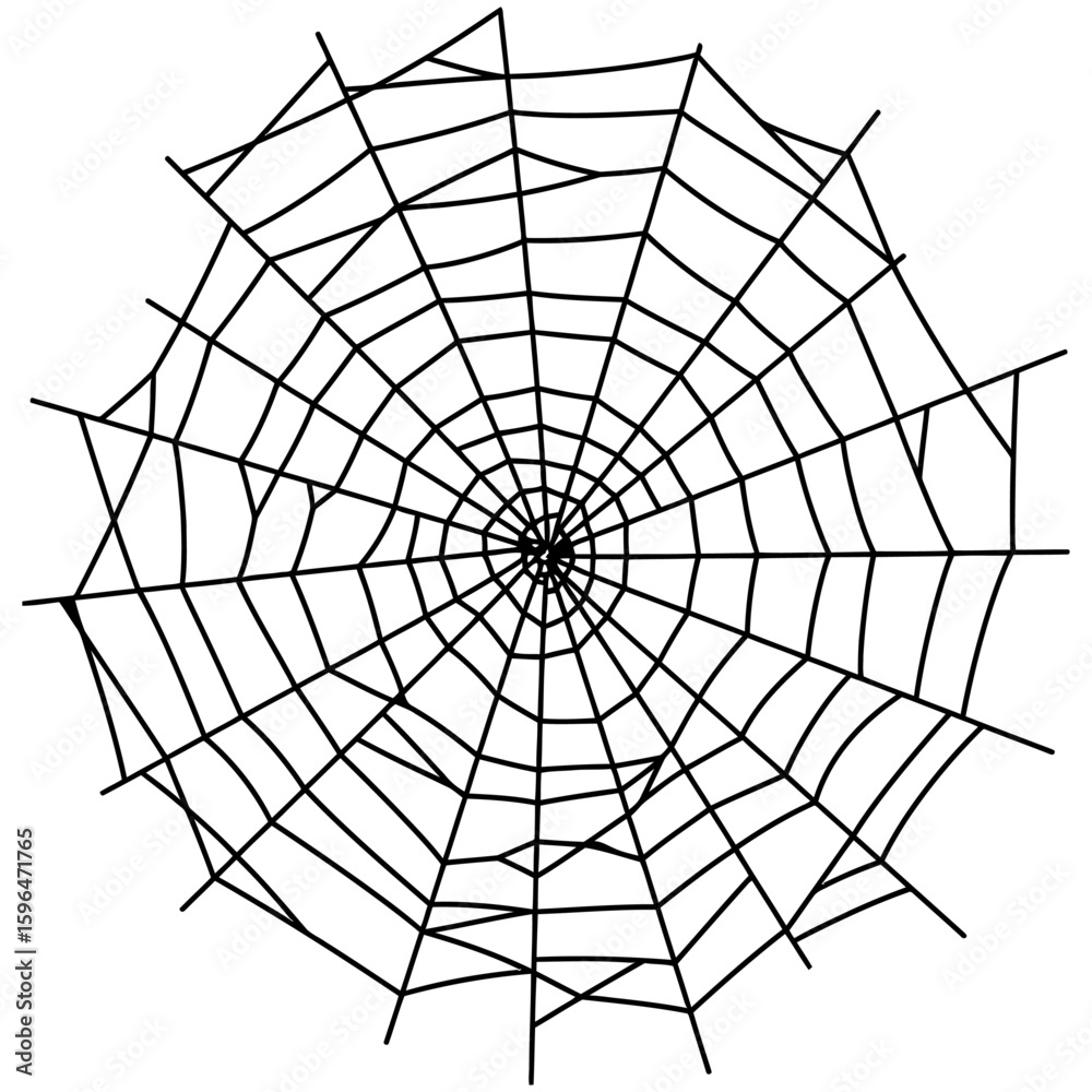 Obraz premium Spider Web Vector Silhouettes on White Background
