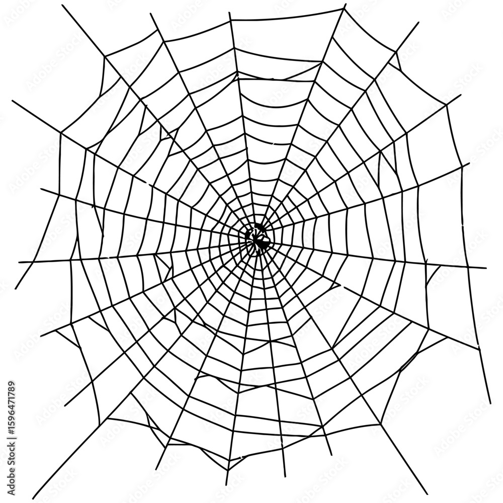 Obraz premium Spider Web Vector Silhouettes on White Background