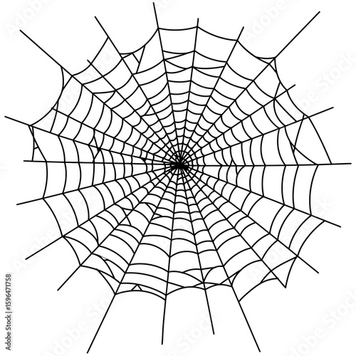Spider Web Vector Silhouettes on White Background
