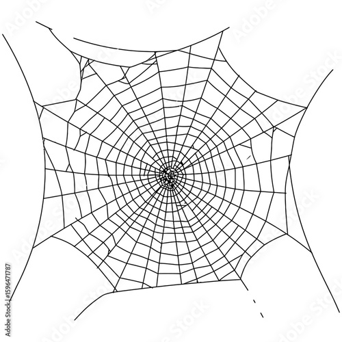 Spider Web Vector Silhouettes on White Background