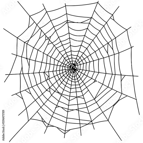 Spider Web Vector Silhouettes on White Background
