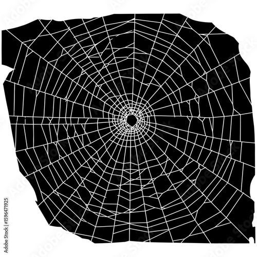 White spider web Vector illustration centered on a solid black background. Ideal for Halloween themes, spooky decorations, horror graphics, or nature-related designs with a dark tone.