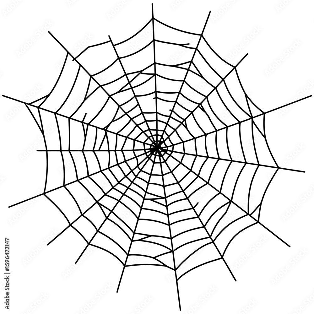 Obraz premium Spider Web Vector Silhouettes on White Background