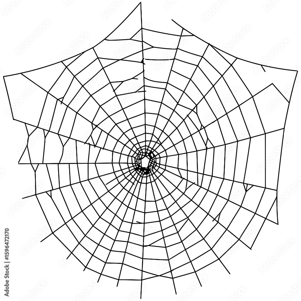 Obraz premium Spider Web Vector Silhouettes on White Background