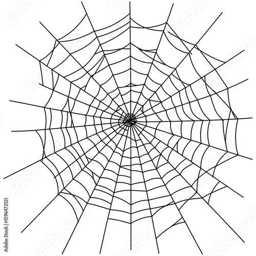 Spider Web Vector Silhouettes on White Background