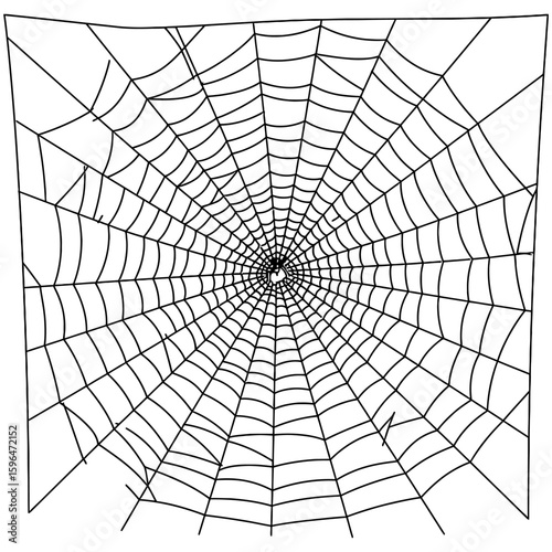 Spider Web Vector Silhouettes on White Background