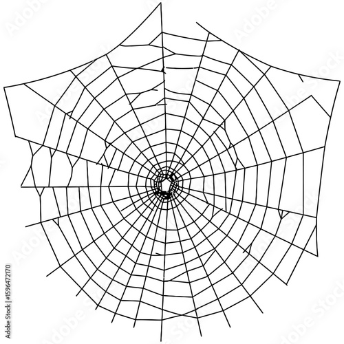 Spider Web Vector Silhouettes on White Background