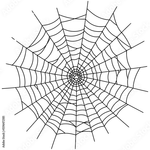 Spider Web Vector Silhouettes on White Background