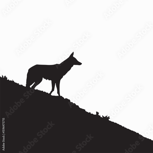 Silhouette of a coyote on a hilltop