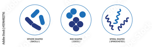 Shapes Of Bacteria with icons concept illustration