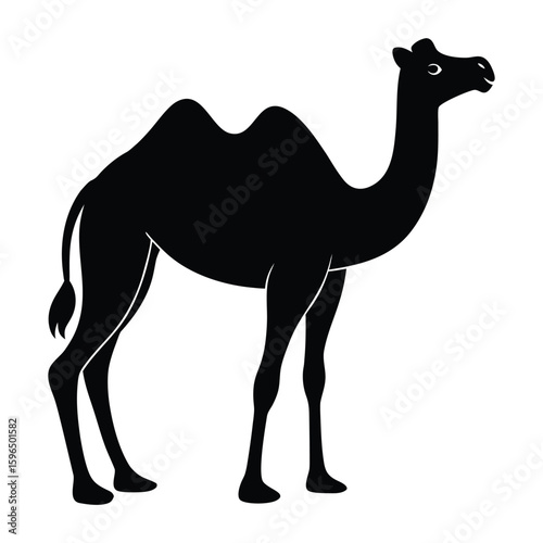 Black silhouette of a dromedary camel standing on a white background