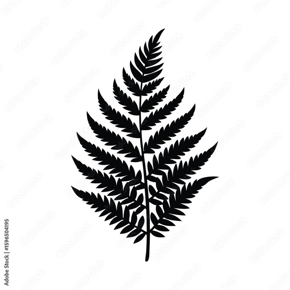 Black silhouette of a fern frond on a white background