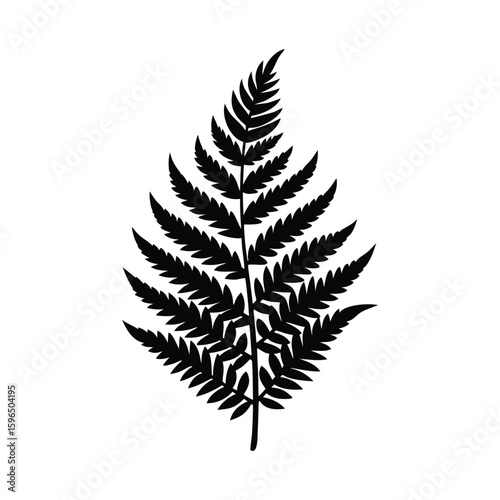 Black silhouette of a fern frond on a white background