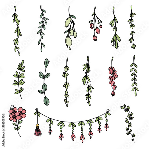 Hand drawn botanical elements with leaves berries and flowers on white background