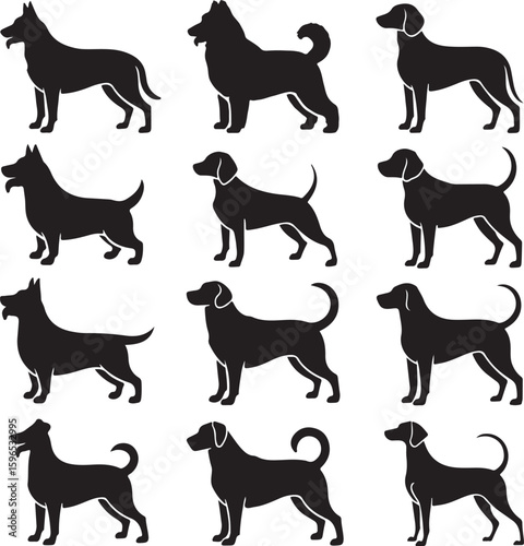 Diverse dog breeds silhouettes standing alert dogs black