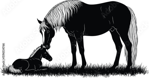 Horse and foal silhouette, peaceful nature moment, animal bond scene, black and white vector, equine tenderness, family love, grass illustration
