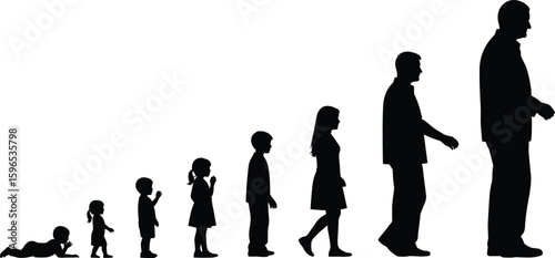 Human life stages silhouette, from crawling baby to adult, growth timeline, developmental progression, aging concept, educational vector illustration