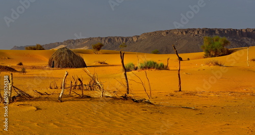 West Africa. Mauritania. View of the desert sands with fragments of nomadic camps of local tribes along the southwestern borders of the Sahara Desert.