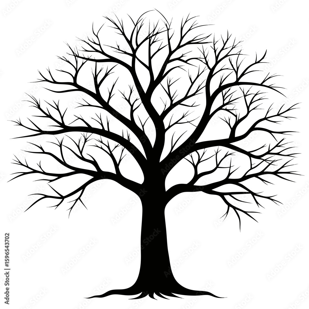 Obraz premium Bare Tree Silhouette