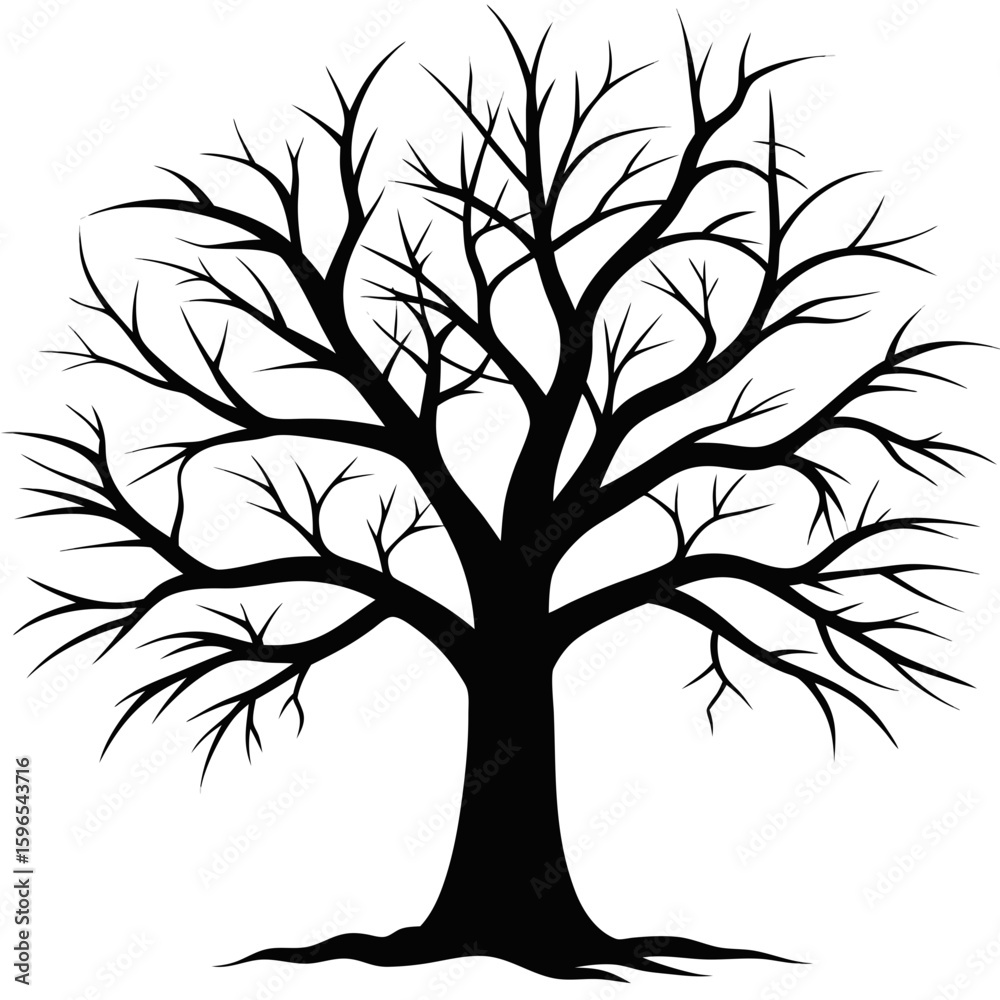 Obraz premium Bare Tree Silhouette