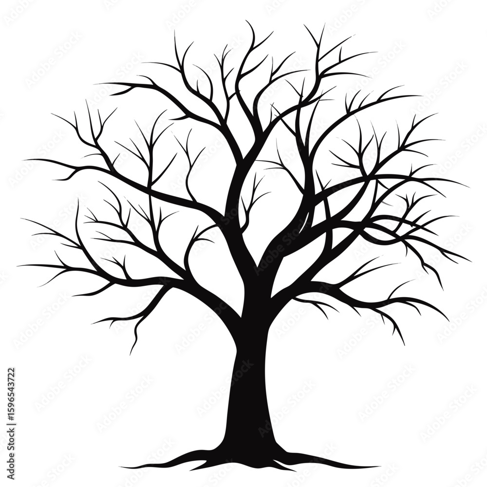 Obraz premium Bare Tree Silhouette