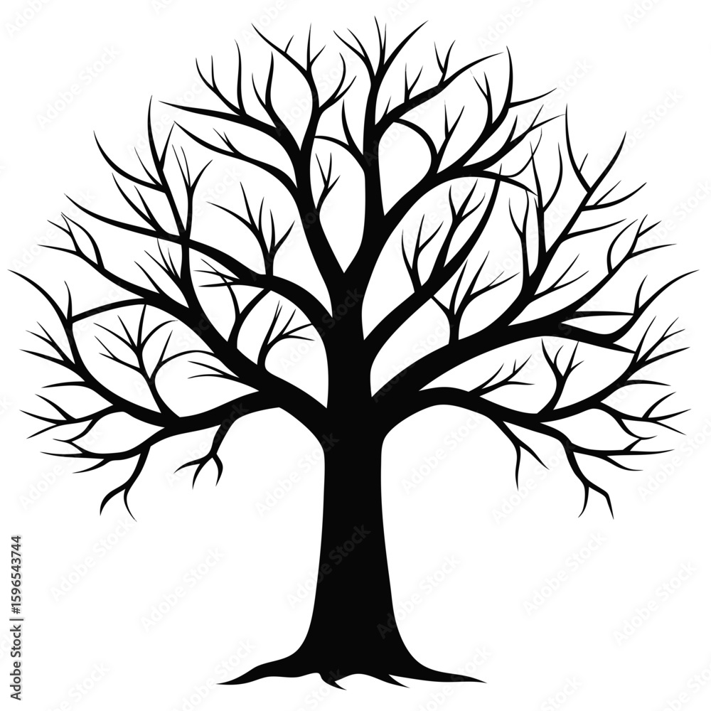 Obraz premium Bare Tree Silhouette