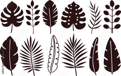 Tropical foliage plant leaves botanical elements tropical leaves monstera