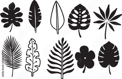 Tropical Leaves Collection Black White Botanical Silhouettes monstera palm leaf