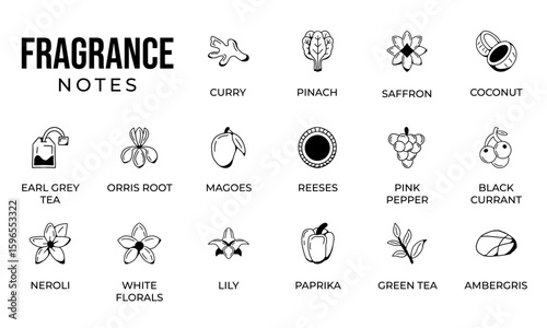 Notes fragrance icon set, notes perfume icon set,  notes ingredients icon set, hand drawn icon set design