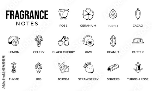 Notes fragrance icon set, notes perfume icon set,  notes ingredients icon set, hand drawn icon set design