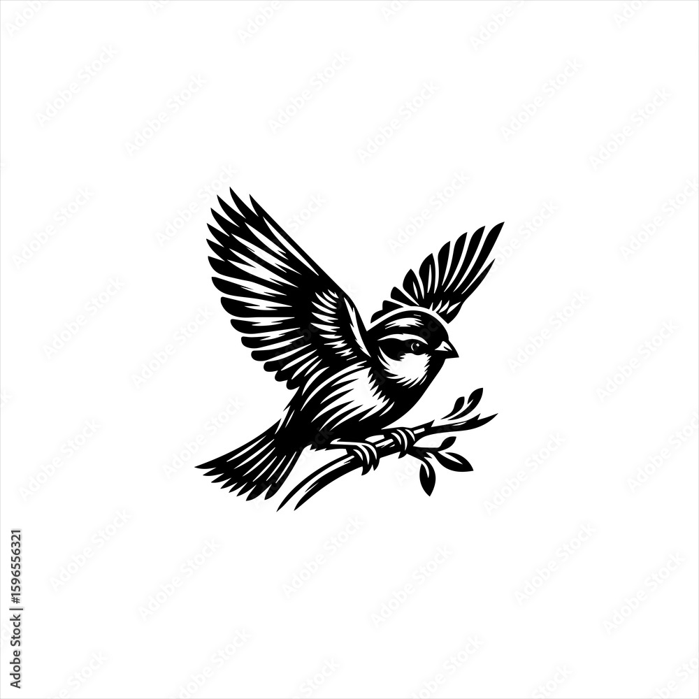 Obraz premium Black and White Bird Perched on Branch.