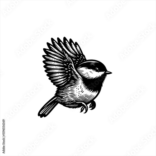 Black and White Chickadee Bird in Flight.