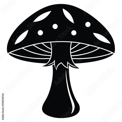 A black mushroom with white dots isolated on white background