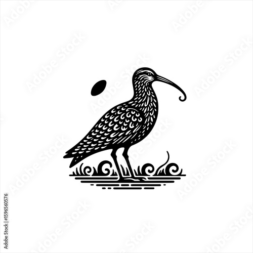 Stylized Black and White Curlew Bird Illustration.