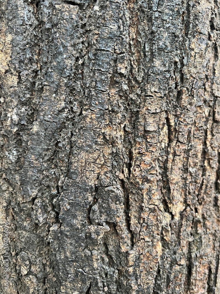 Obraz premium wall texture background. Abstract background and texture for design.